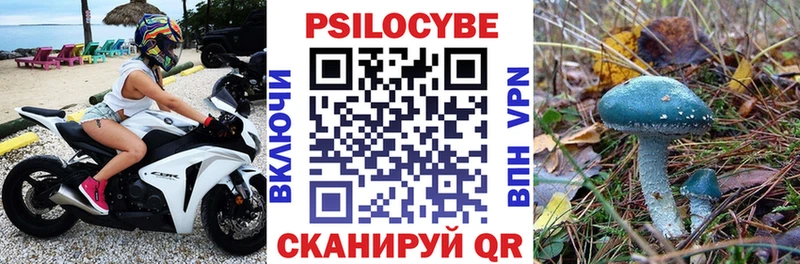 Псилоцибиновые грибы прущие грибы  Реж 